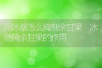 用冰糖怎么腌制余甘果 冰糖腌余甘果的作用