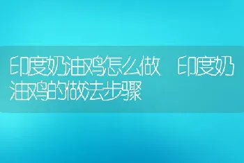 印度奶油鸡怎么做 印度奶油鸡的做法步骤