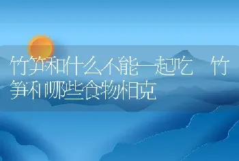 竹笋和什么不能一起吃 竹笋和哪些食物相克