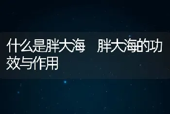 什么是胖大海 胖大海的功效与作用