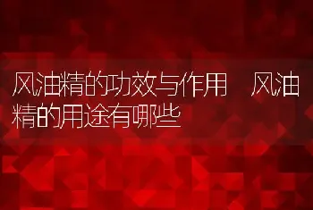 风油精的功效与作用 风油精的用途有哪些