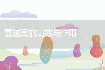 蔓越莓的功效与作用