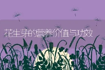 花生芽的营养价值与功效