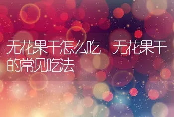 无花果干怎么吃 无花果干的常见吃法