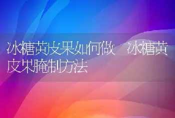 冰糖黄皮果如何做 冰糖黄皮果腌制方法