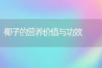 椰子的营养价值与功效