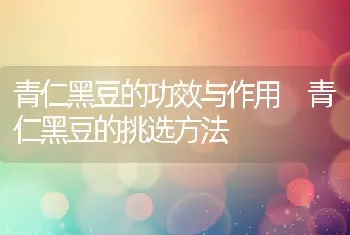 青仁黑豆的功效与作用 青仁黑豆的挑选方法