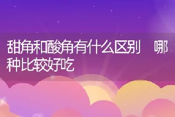 甜角和酸角有什么区别 哪种比较好吃