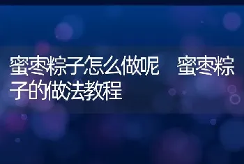 蜜枣粽子怎么做呢 蜜枣粽子的做法教程