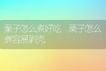 栗子怎么煮好吃 栗子怎么煮容易剥壳