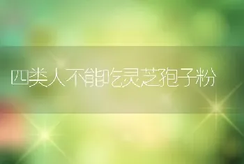 四类人不能吃灵芝孢子粉