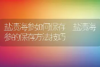 盐渍海参如何保存 盐渍海参的保存方法技巧