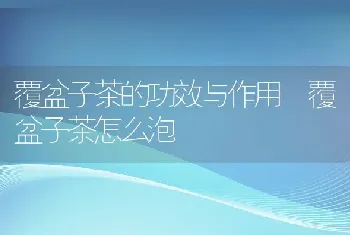 覆盆子茶的功效与作用 覆盆子茶怎么泡