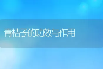 青桔子的功效与作用