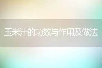 玉米汁的功效与作用及做法