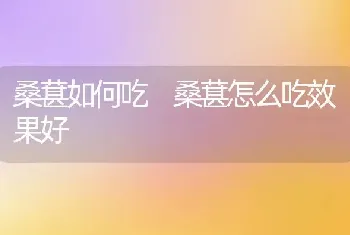 桑葚如何吃 桑葚怎么吃效果好