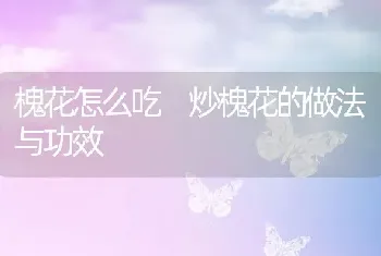 槐花怎么吃 炒槐花的做法与功效