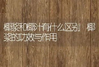 椰浆和椰汁有什么区别 椰浆的功效与作用