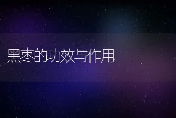 黑枣的功效与作用