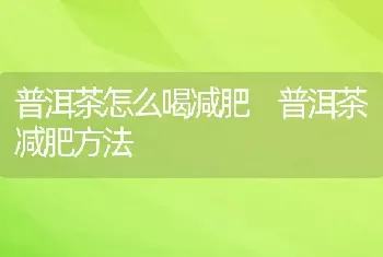 普洱茶怎么喝减肥 普洱茶减肥方法