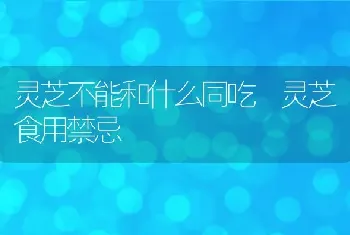 灵芝不能和什么同吃 灵芝食用禁忌