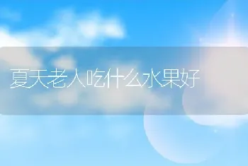 夏天老人吃什么水果好