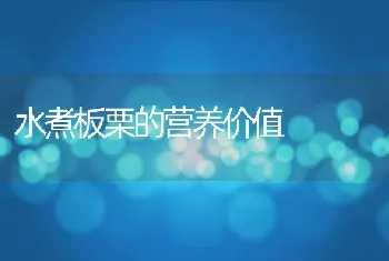 水煮板栗的营养价值