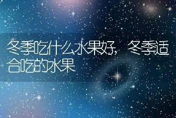 冬季吃什么水果好,冬季适合吃的水果