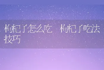 枸杞子怎么吃 枸杞子吃法技巧