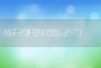 酸石榴籽的功效与作用