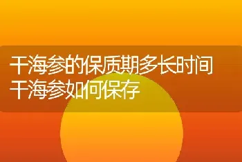 干海参的保质期多长时间 干海参如何保存