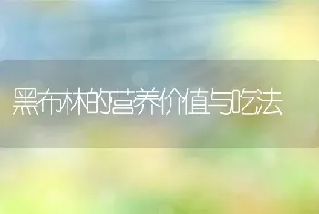 黑布林的营养价值与吃法