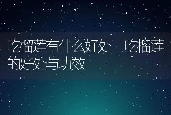 吃榴莲有什么好处 吃榴莲的好处与功效