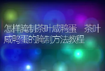 怎样腌制茶叶咸鸭蛋 茶叶咸鸭蛋的腌制方法教程