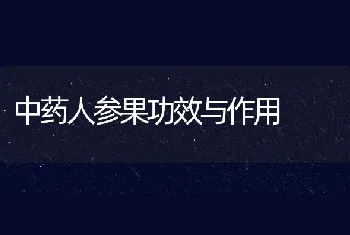 中药人参果功效与作用