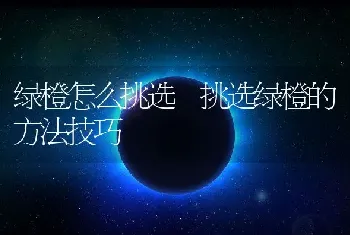 绿橙怎么挑选 挑选绿橙的方法技巧