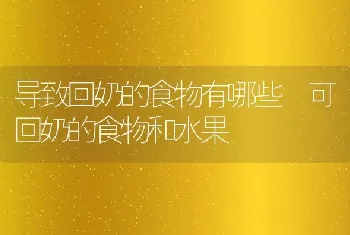 导致回奶的食物有哪些 可回奶的食物和水果