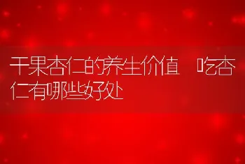 干果杏仁的养生价值 吃杏仁有哪些好处