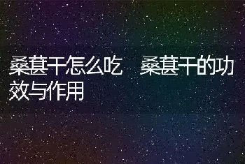 桑葚干怎么吃 桑葚干的功效与作用