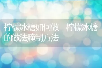 柠檬冰糖如何做 柠檬冰糖的做法腌制方法