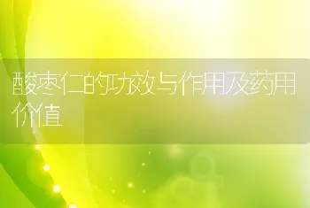 酸枣仁的功效与作用及药用价值