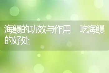 金寨雀舌的功效与作用 金寨雀舌属于什么茶