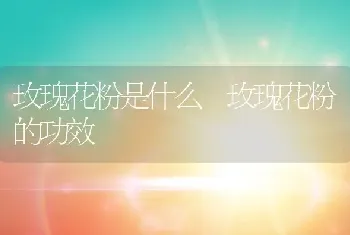 玫瑰花粉是什么 玫瑰花粉的功效