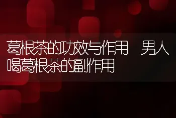 葛根茶的功效与作用 男人喝葛根茶的副作用