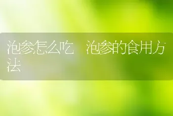 泡参怎么吃 泡参的食用方法