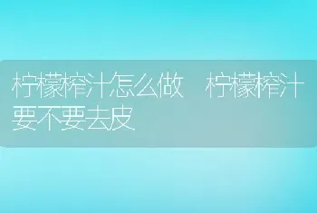 柠檬榨汁怎么做 柠檬榨汁要不要去皮