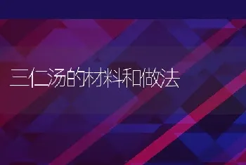 三仁汤的材料和做法