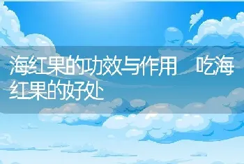 海红果的功效与作用 吃海红果的好处