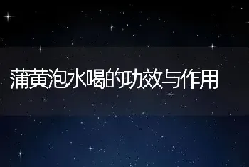 蒲黄泡水喝的功效与作用