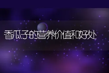 香瓜子的营养价值和好处